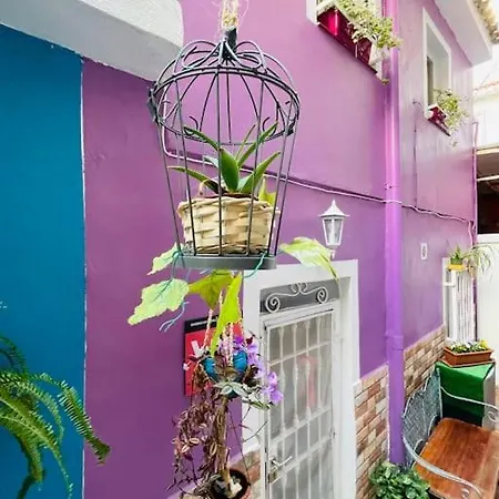 Дом отдыха Casa Dionea,