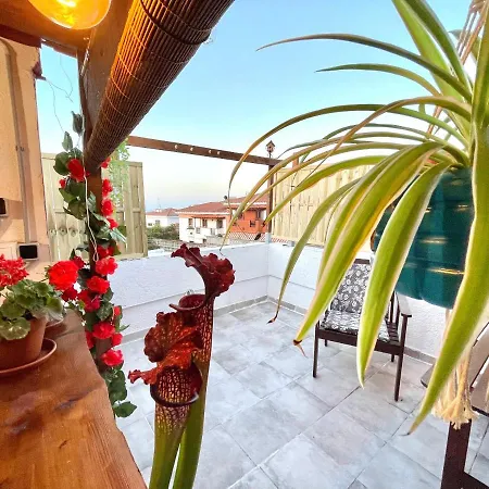 Semesterbostad Casa Dionea, Puerto de la Cruz (Tenerife)